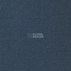 Ковролин Radici Oceania Antracite 2411 фото 1 | FLOORDEALER